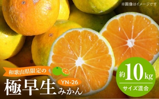 EA6041_和歌山県限定の極早生みかん 10kg (YN-26 大小混合)