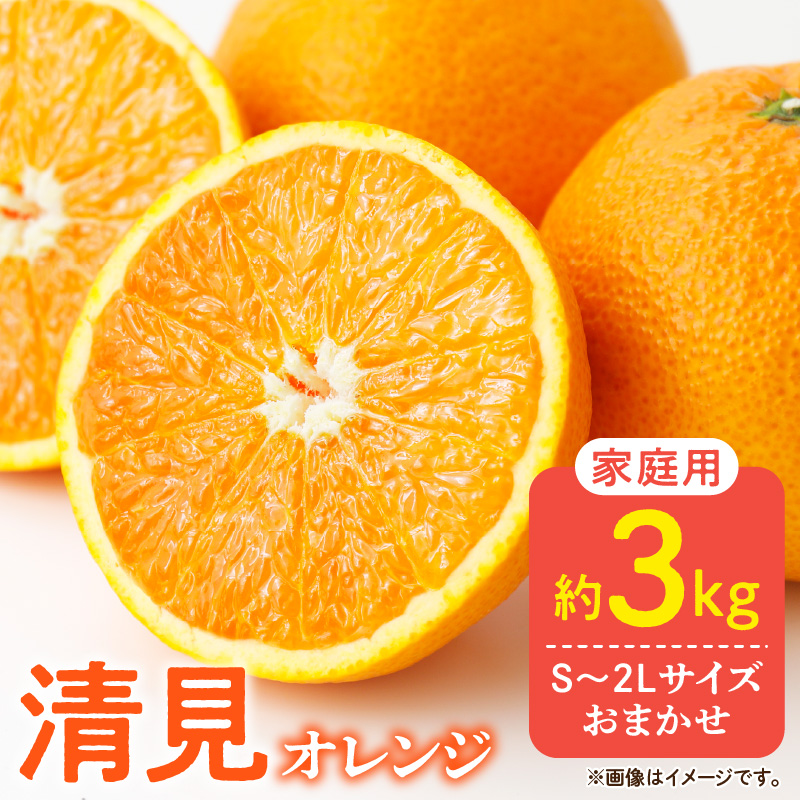 DZ6104_【先行予約】ご家庭用 きよみ 清見オレンジ 和歌山 有田 S～2Lサイズ 大きさお任せ 3kg