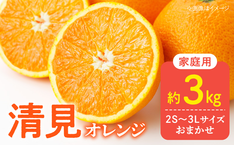 DZ6226_【2026年先行予約】訳あり 家庭用 きよみ 清美オレンジ 和歌山 有田 2S～3Lサイズ混合 3kg
