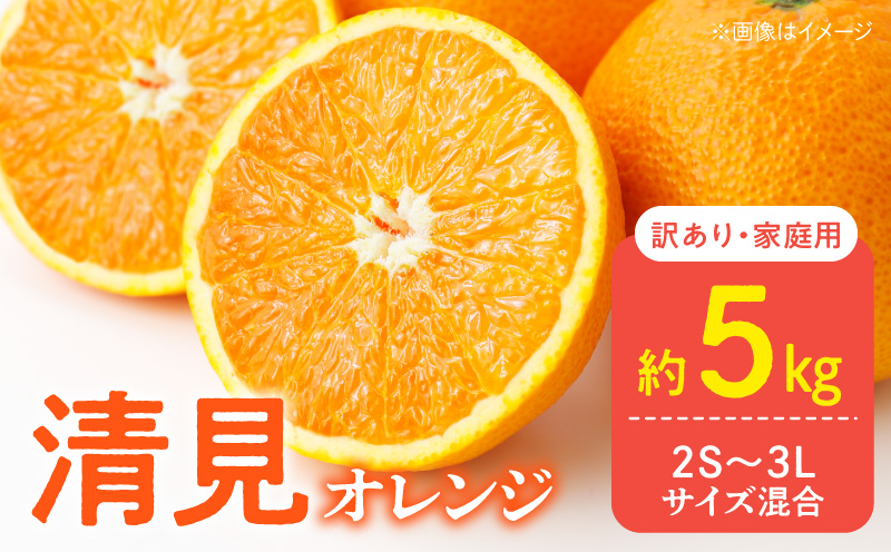 DZ6106_訳あり 家庭用 きよみ 清美オレンジ 和歌山 有田 2S～3Lサイズ混合 5kg