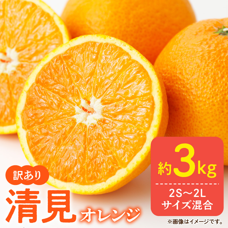 DZ6107_【先行予約】訳あり きよみ 清見オレンジ 和歌山 有田 2S～2Lサイズ混合 3kg