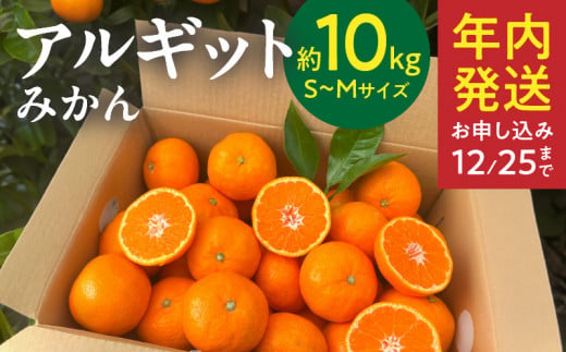 YA1004_完熟 アルギット みかん 10kg S～M サイズ