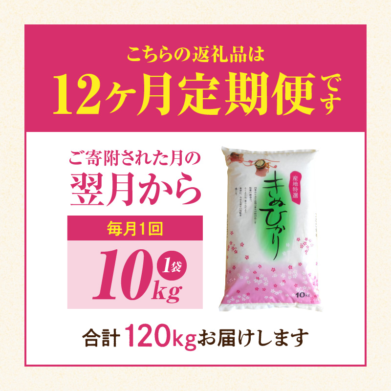 BB6211_【定期便】和歌山県産 キヌヒカリ 10kg 毎月1回、12ヶ月間お届け