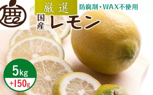 ZH7032_＜9月より発送＞厳選 黒潮レモン5kg+150g（傷み補償分）【和歌山有田産】【防腐剤・WAX不使用、安心の国産レモン】