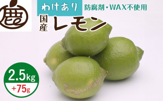 ZH7033_＜9月より発送＞家庭用 黒潮レモン2.5kg+75g（傷み補償分）【和歌山有田産】【防腐剤・WAX不使用、安心の国産レモン】【訳ありレモン】