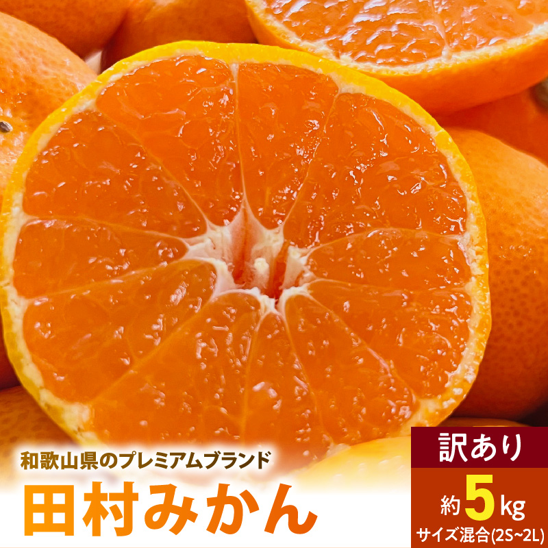 AB7301_ 【2026年先行予約】ご家庭用 田村みかん サイズ混合(2S～２L)  約5kg _  わけあり 訳あり 和歌山プレミアムブランドみかん 小玉 中玉 大玉 蜜柑 ミカン フルーツ 果物