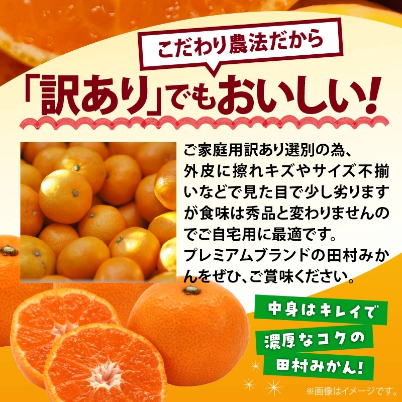 AB7301_ 【2026年先行予約】ご家庭用 田村みかん サイズ混合(2S～２L)  約5kg _  わけあり 訳あり 和歌山プレミアムブランドみかん 小玉 中玉 大玉 蜜柑 ミカン フルーツ 果物