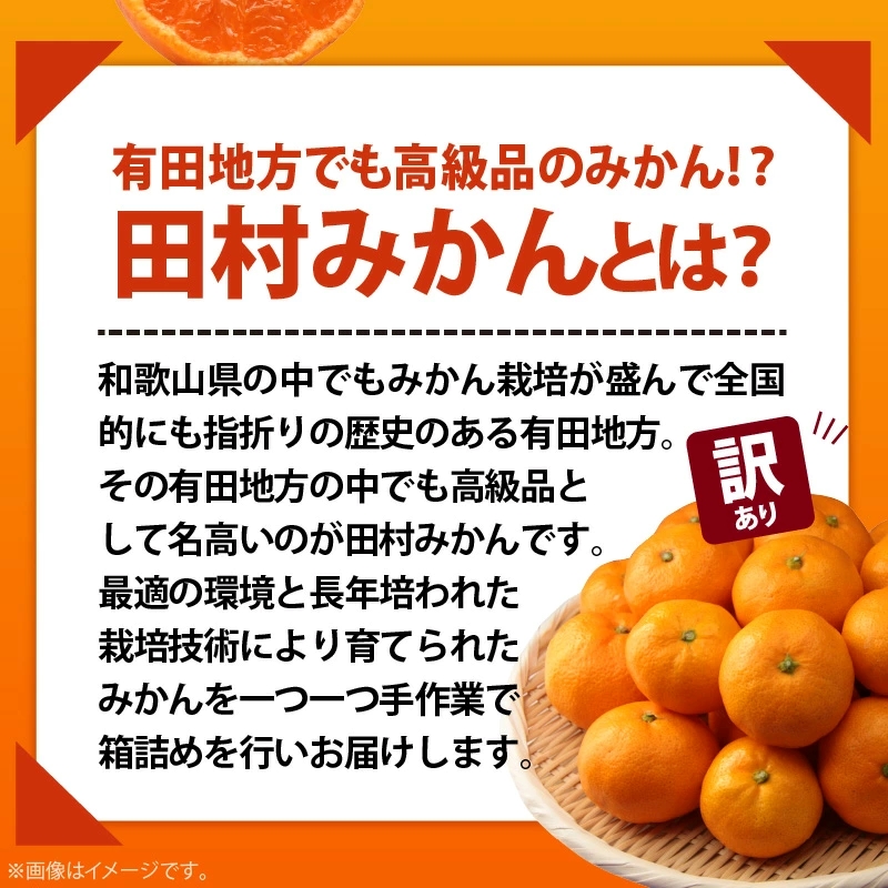 AB7301_ 【2026年先行予約】ご家庭用 田村みかん サイズ混合(2S～２L)  約5kg _  わけあり 訳あり 和歌山プレミアムブランドみかん 小玉 中玉 大玉 蜜柑 ミカン フルーツ 果物