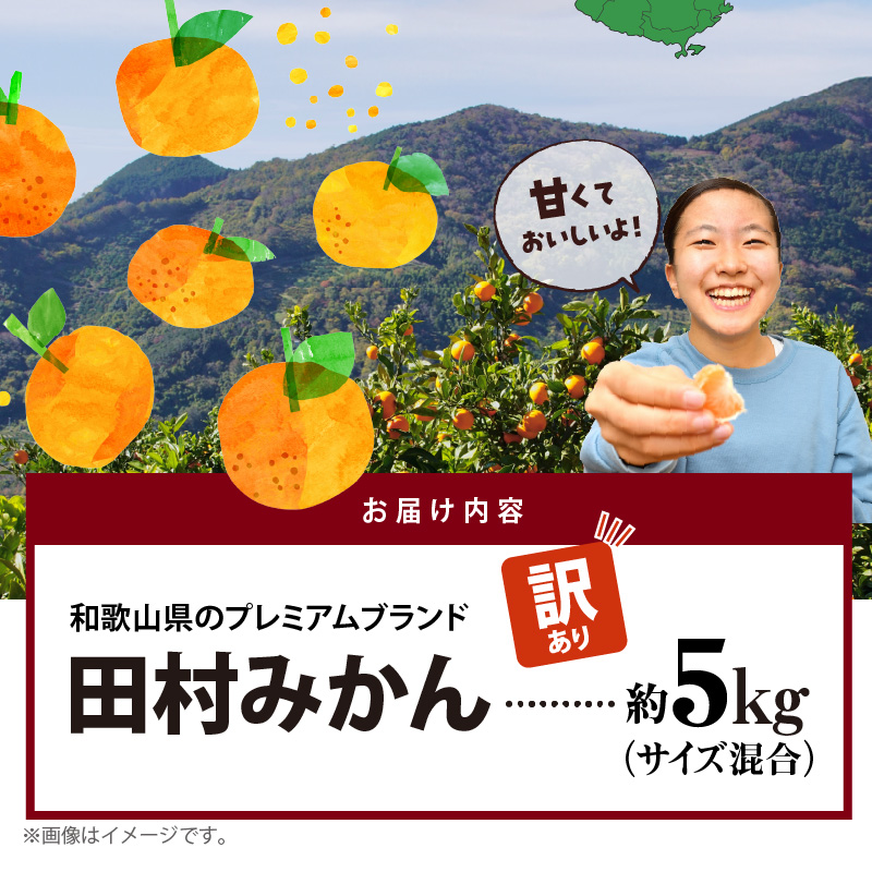 AB7301_ 【2026年先行予約】ご家庭用 田村みかん サイズ混合(2S～２L)  約5kg _  わけあり 訳あり 和歌山プレミアムブランドみかん 小玉 中玉 大玉 蜜柑 ミカン フルーツ 果物