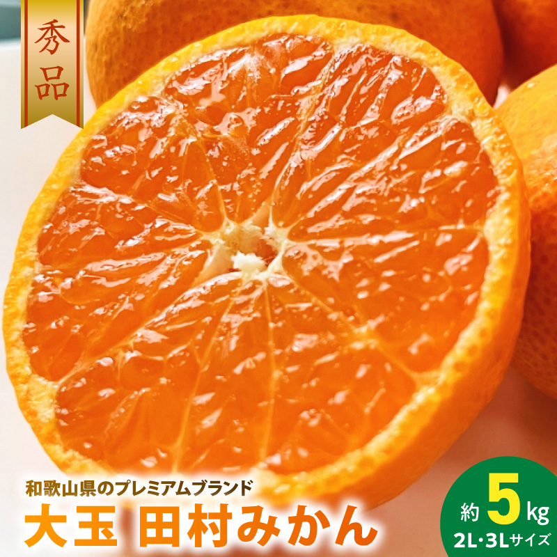 AB7303_【2026年先行予約】大玉田村みかん 2L・3Lサイズ 秀品 約5kg _ 和歌山プレミアムブランドみかん  大粒有 大きい 蜜柑 ミカン フルーツ 果物 ギフト お歳暮