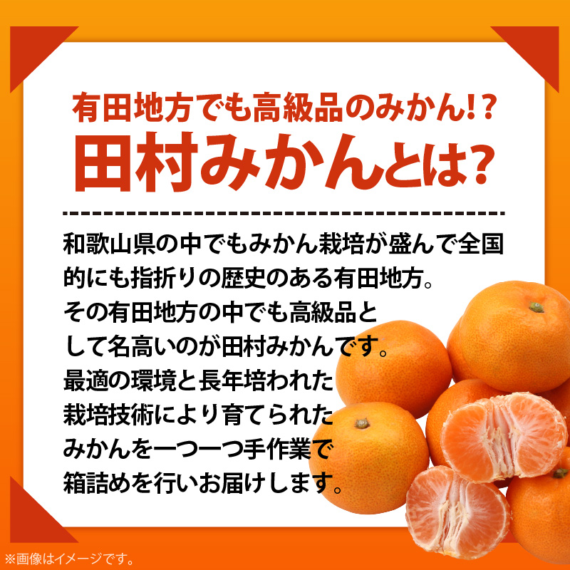 ã2026幎å
è¡äºçŽãå°ç²ç°æã¿ãã 2Sã»3Sãµã€ãº ç§å çŽ5kg _ åæå±±ãã¬ãã¢ã ãã©ã³ãã¿ãã å°ç å°ãã èæ ãã«ã³ ãã«ãŒã æç© ã®ãã ãæ³æ®_AB7311