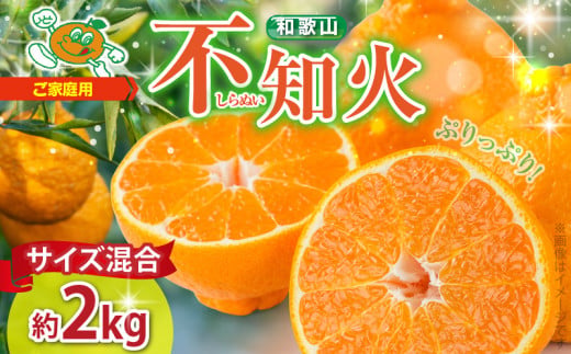 ZJ6071_【2026年先行予約】不知火(しらぬい) オレンジ みかん 2kg 訳あり ご家庭用 サイズ混合