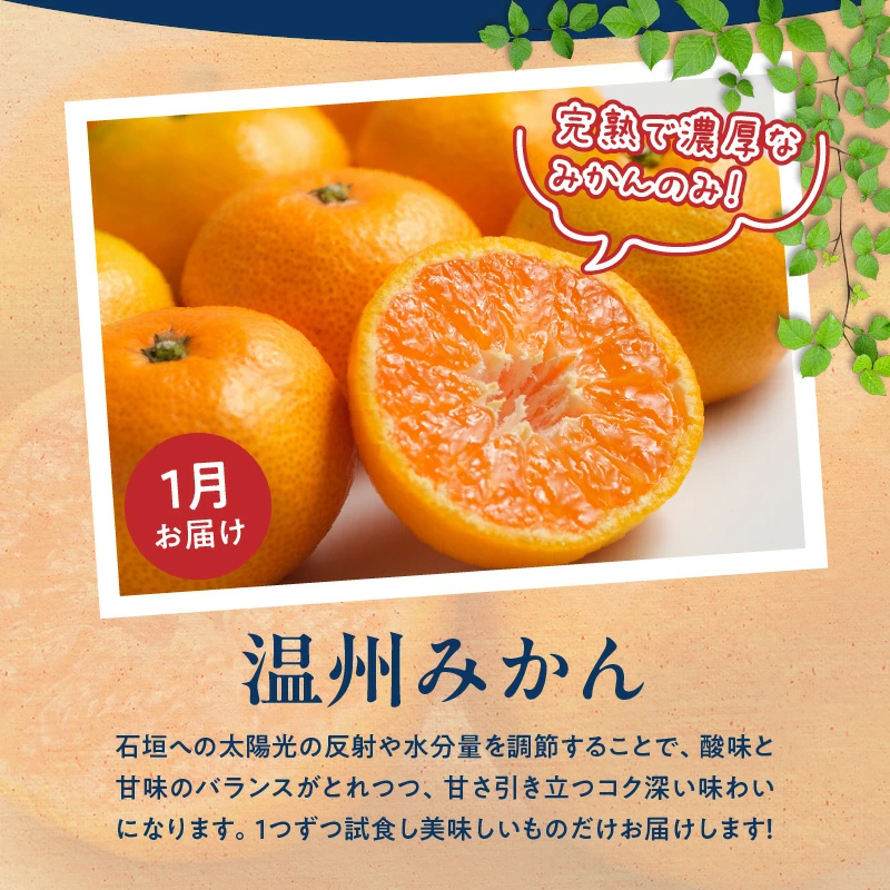 G60-T57_ãå®æäŸ¿ å
š3åãçŽå·åæå±±ç£æ¬ã®ãã«ãŒãå®æäŸ¿ïŒæž©å·ã¿ããããªã€ã¿ããã¬ã³ã·ã¢ãªã¬ã³ãžïŒ