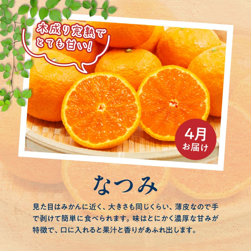 G60-T57_ãå®æäŸ¿ å
š3åãçŽå·åæå±±ç£æ¬ã®ãã«ãŒãå®æäŸ¿ïŒæž©å·ã¿ããããªã€ã¿ããã¬ã³ã·ã¢ãªã¬ã³ãžïŒ