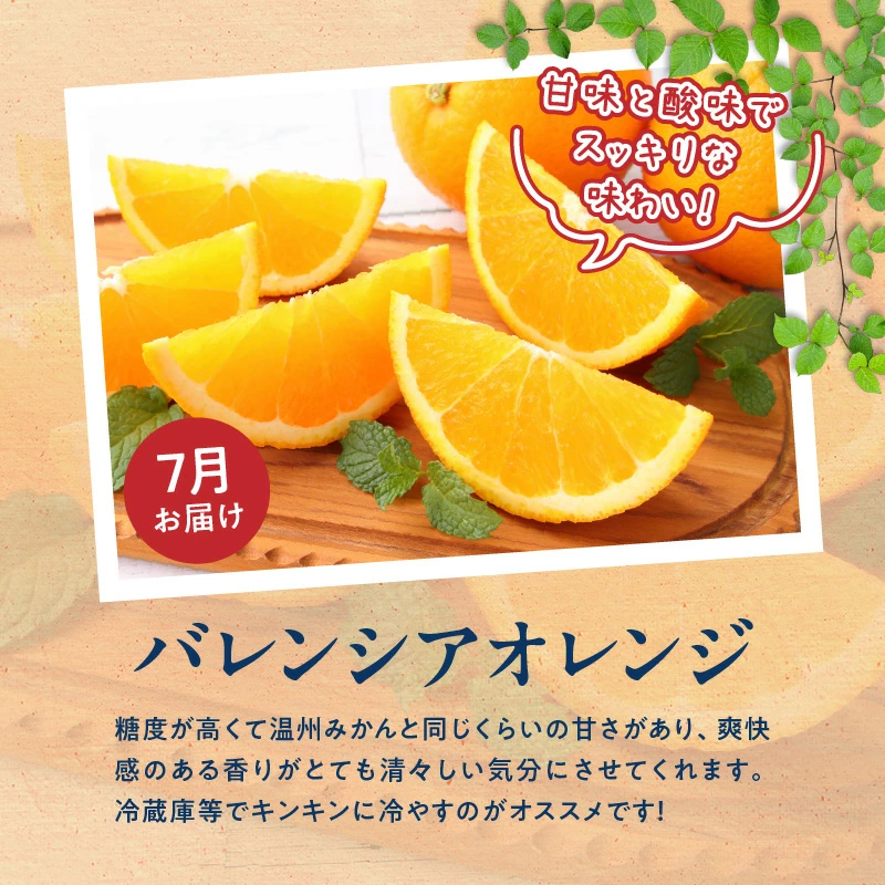 G60-T57_ãå®æäŸ¿ å
š3åãçŽå·åæå±±ç£æ¬ã®ãã«ãŒãå®æäŸ¿ïŒæž©å·ã¿ããããªã€ã¿ããã¬ã³ã·ã¢ãªã¬ã³ãžïŒ