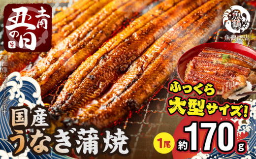 G7312_【土用の丑の日】＜7月26日までにお届け＞ふっくら柔らか 国産うなぎ蒲焼き 1尾
