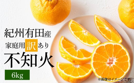 G7358_【2026年先行予約】紀州有田産 不知火 (しらぬい)【家庭用 訳あり】6kg デコポン フルーツ デザート 柑橘 果物 果実 みかん お取り寄せ 和歌山県 湯浅町 送料無料