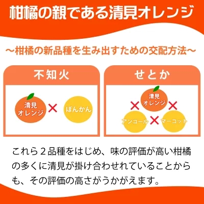 G7328_【先行予約】とにかくジューシー 清見 オレンジ 2.5kg