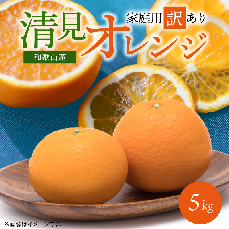G7329_紀州有田産 清見 オレンジ 5kg【家庭用 訳あり】タンゴール みかん 柑橘 フルーツ 果物 デザート 果実 お取り寄せ 和歌山県 湯浅町 有田 送料無料