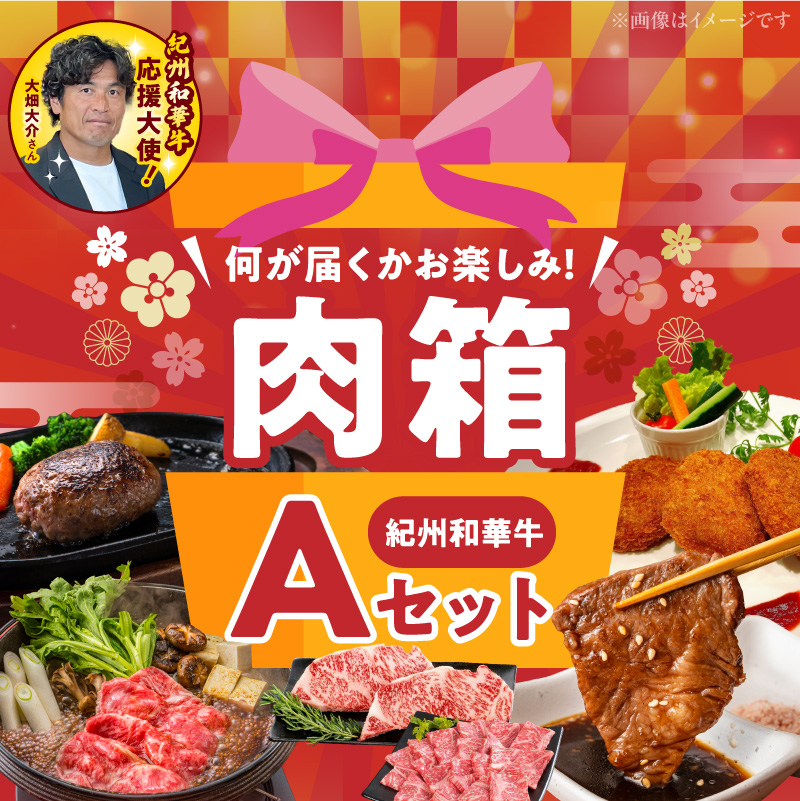 BN6134_お楽しみ肉箱 Aセット お試し ドキドキ 黒毛和牛 ハンバーグ ステーキ ロース ヒレ 焼肉 すき焼き しゃぶしゃぶ 盛り合わせ コロッケ ローストビーフ 食品 和歌山県 湯浅町 送料無料