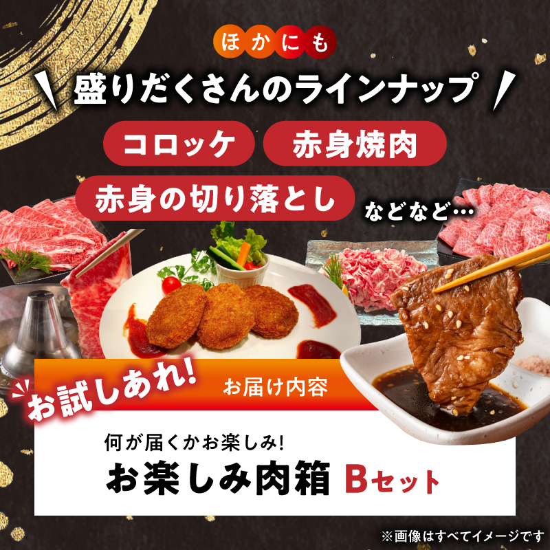 BN6136_お楽しみ肉箱 Bセット お試し ドキドキ 黒毛和牛 ハンバーグ ステーキ ロース ヒレ 焼肉 すき焼き しゃぶしゃぶ 盛り合わせ コロッケ ローストビーフ 食品 和歌山県 湯浅町 送料無料 