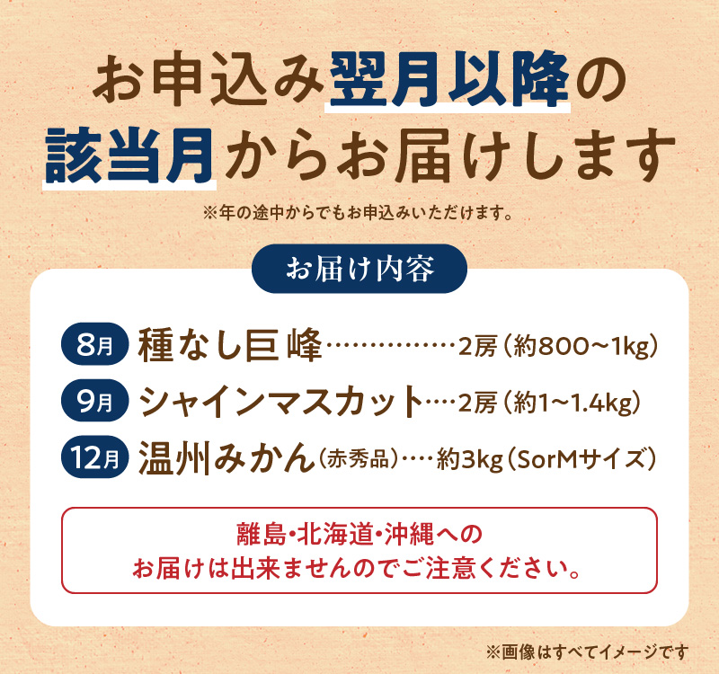 G60-T72_【定期便全3回】紀州和歌山産旬のフルーツセット(種なし巨峰・シャイン・みかん)