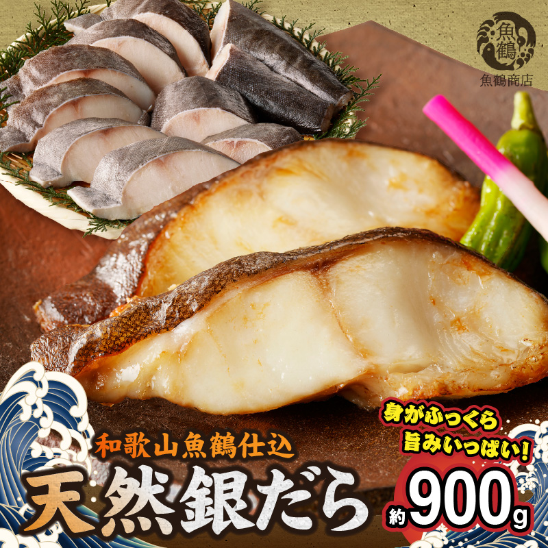 G7335_和歌山魚鶴仕込みのだし漬け天然銀だら切身10切（真空パック入） 約900g 小分け 独自製法 良質な脂 ふっくら 柔らかい 身質 甘み 旨味 白身魚のトロ 梅酒 北海道南産 真こんぶ だし漬け 煮付け ムニエル 味噌漬け 鍋物 冷凍 湯浅町 送料無料