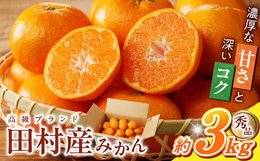G7339_【2026年11月下旬頃より発送】高級ブランド 秀品 紀州有田田村産みかん 3kg 濃厚 糖度 酸味 バランス 甘さ コク 国産 みかん 有田みかん フルーツ 果物 果実 デザート おやつ お取り寄せ お取り寄せフルーツ 和歌山県 湯浅町 送料無料