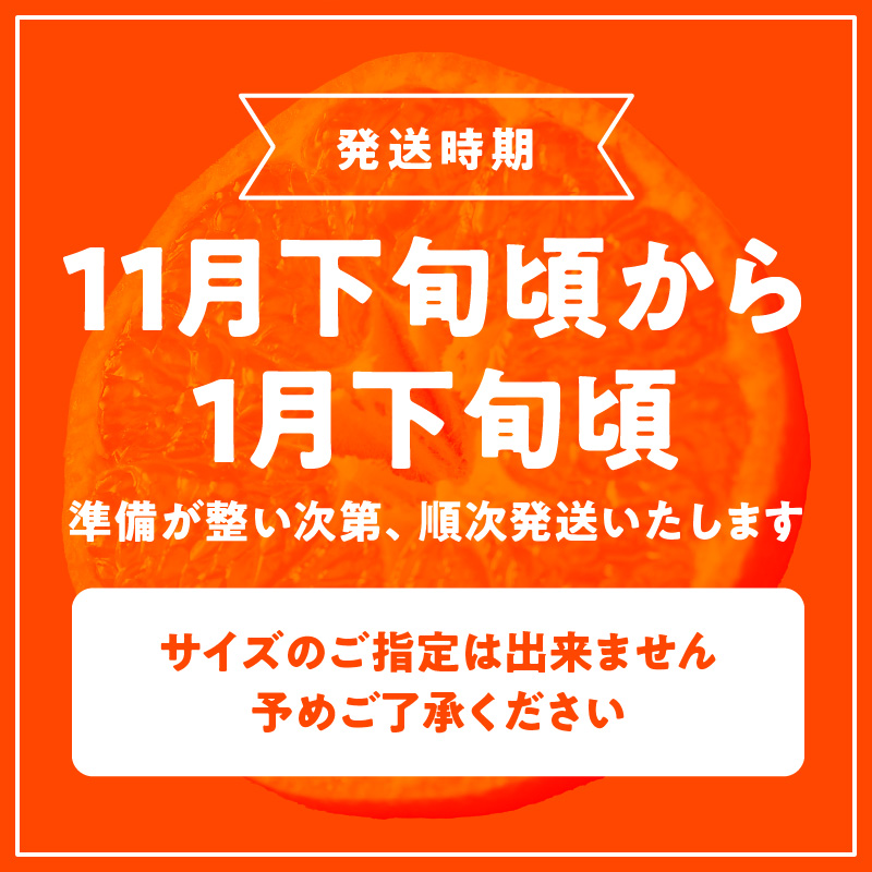 G7339_【2025年 先行予約】高級ブランド 秀品 紀州有田田村産みかん 3kg