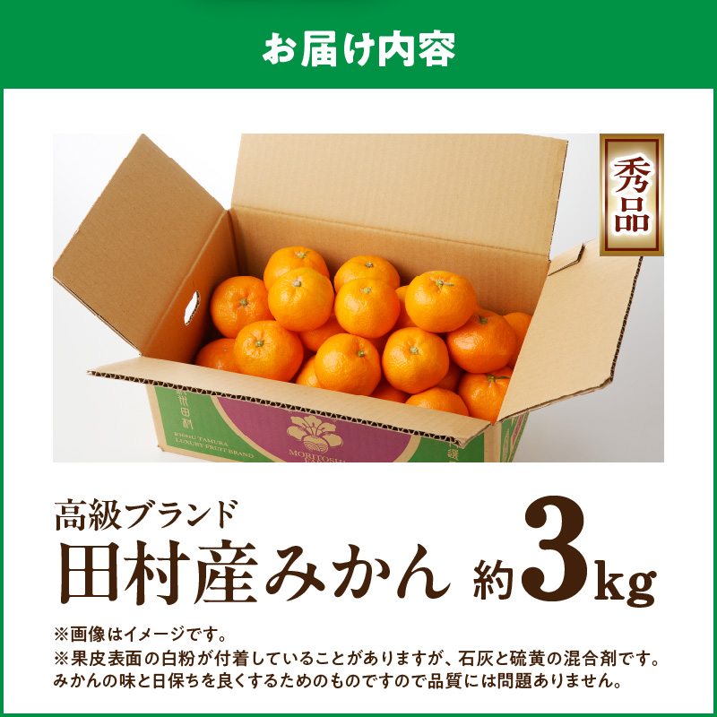 G7339_【2025年 先行予約】高級ブランド 秀品 紀州有田田村産みかん 3kg