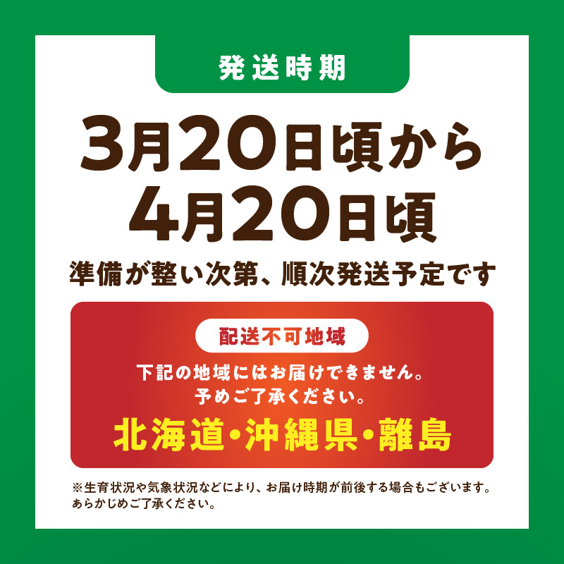  OW1000_秀品　マルユー農園のせとか 3kg「10～12玉」