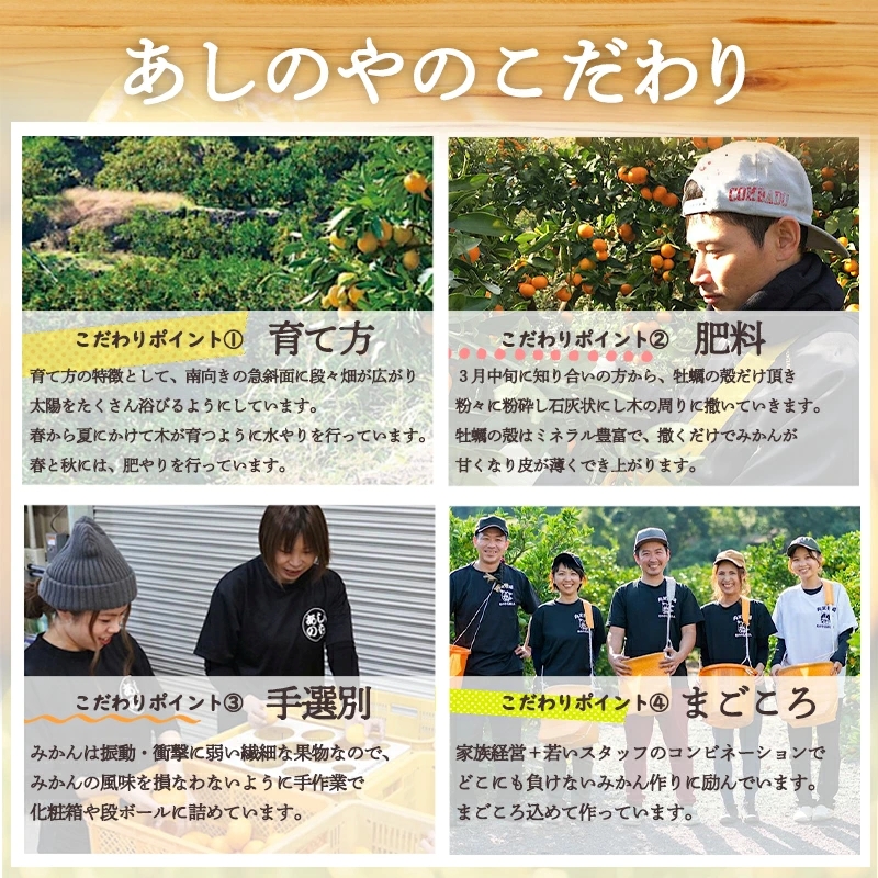ZE6492_蜥梧ュ悟アア 貉ッ豬逕コ逕」 逕ー譚代∩縺九s 邏10kg縲心繧オ繧、繧コ縲
