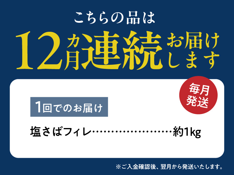 G60-T86_【訳あり 家庭用】 塩さば フィレ 1kg 全12回定期便