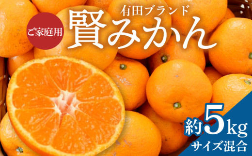 ZD92065_ãå®¶åºçšãæç°ãã©ã³ã è³¢ã¿ãã çŽ5kgïŒãµã€ãºæ··åïŒ