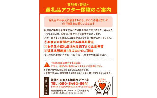 BF6065_ïŒ2026幎å
è¡åä»ïŒããã¬ãïŒãã³ãã³ïŒ24ïœ28çå
¥ã â»çæ¥æå®äžå¯