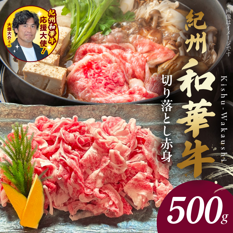BN6050_G_紀州和華牛　切り落とし【赤身】500g　【ギフト用】★折箱（肉用）