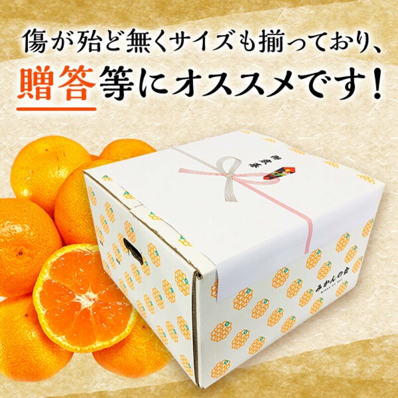MK1042_みかん Ｌサイズ 秀品 箱込 5kg ( 内容量 4.4kg ) 有田みかん 和歌山県産 産地直送 贈答用 【みかんの会】