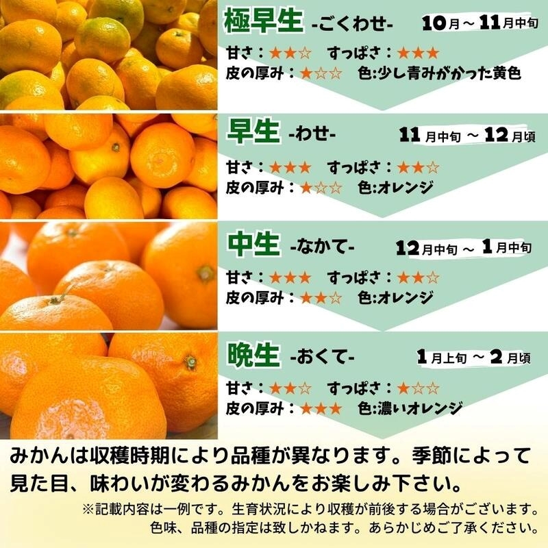 MK1042_みかん Ｌサイズ 秀品 箱込 5kg ( 内容量 4.4kg ) 有田みかん 和歌山県産 産地直送 贈答用 【みかんの会】