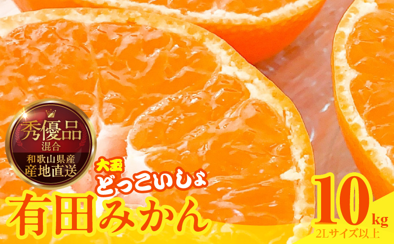 【2026年先行予約】みかん 大玉 どっこいしょ 箱込 10kg ( 内容量 9.2kg ) 2Lサイズ以上 秀品 優品 混合 有田みかん 和歌山県産 産地直送 【みかんの会】_MK1034