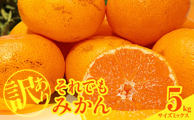 MK1035_訳あり それでも みかん 箱込 5kg ( 内容量 4.4kg ) サイズミックス Ｂ品 有田みかん 和歌山県産 産地直送 家庭用【みかんの会】