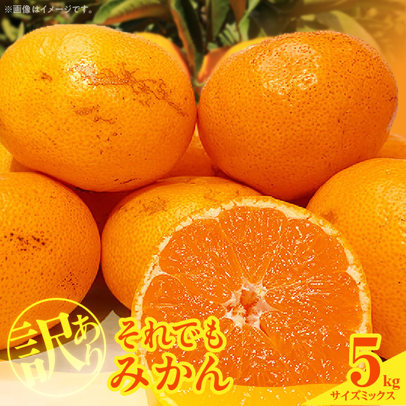 【2026年先行予約】訳あり それでも みかん 箱込 5kg ( 内容量 4.4kg ) サイズミックス Ｂ品 有田みかん 和歌山県産 産地直送 家庭用【みかんの会】_MK1035
