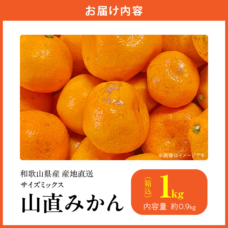 MK1050_みかん 山から直送 箱込 1kg ( 内容量 0.9kg ) 鮮度優先ごろごろ規格 和歌山県産 産地直送 【みかんの会】