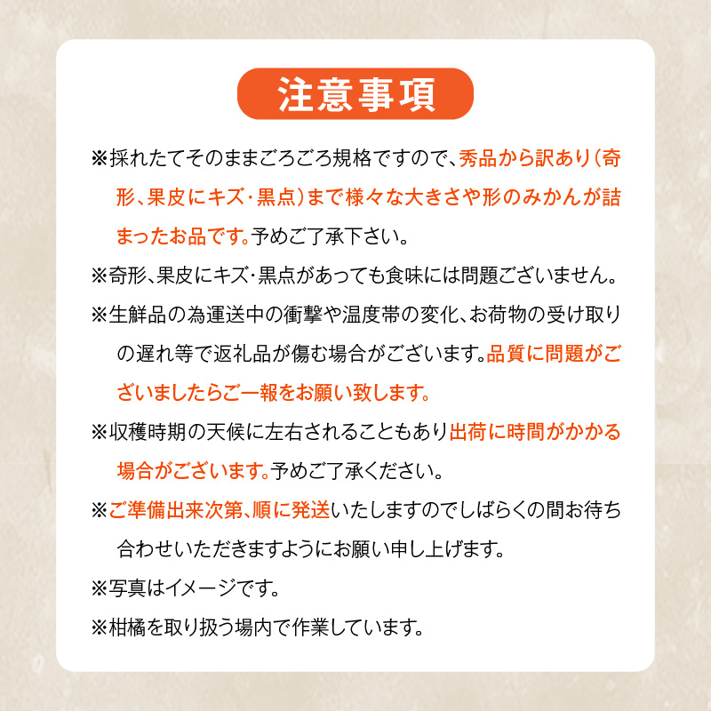 MK1050_みかん 山から直送 箱込 1kg ( 内容量 0.9kg ) 鮮度優先ごろごろ規格 和歌山県産 産地直送 【みかんの会】