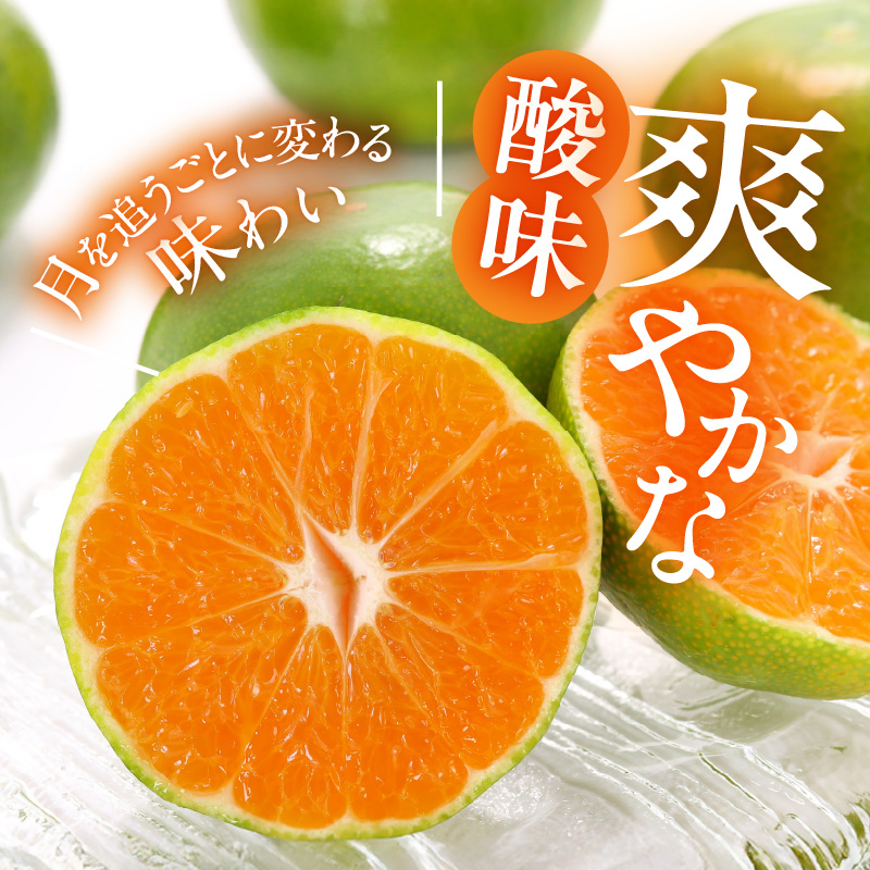 MK1078_みかん 極早生 山から直送 箱込 10kg ( 内容量 9.2kg ) 採れたてそのままごろごろ規格 有田みかん 和歌山県産