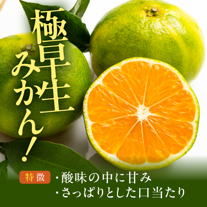 MK1078_みかん 極早生 山から直送 箱込 10kg ( 内容量 9.2kg ) 採れたてそのままごろごろ規格 有田みかん 和歌山県産