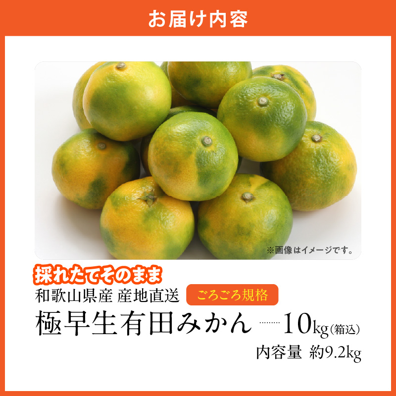 MK1078_みかん 極早生 山から直送 箱込 10kg ( 内容量 9.2kg ) 採れたてそのままごろごろ規格 有田みかん 和歌山県産
