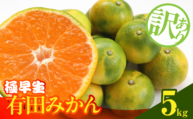 MK1084_【2026年先行予約】訳あり みかん 極早生 箱込 5kg ( 内容量 4.4kg ) サイズミックス 有田みかん 和歌山県産