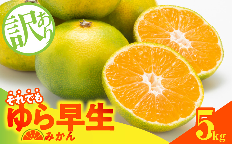 MK1068_【2026先行予約】訳あり ゆら早生 みかん 箱込 5kg ( 内容量 4.4kg ) サイズミックス 有田みかん 和歌山県産