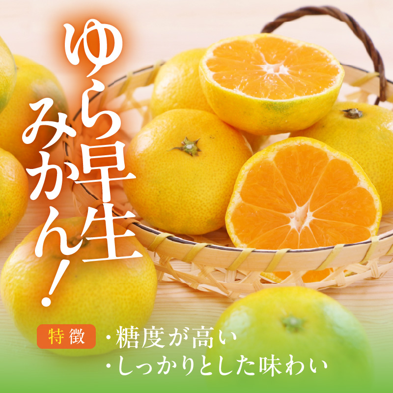MK1059_ゆら早生 みかん とにかく小玉 箱込 7.5kg ( 内容量6.8kg ) 2Sサイズ以下 秀優混合 有田みかん 和歌山県産