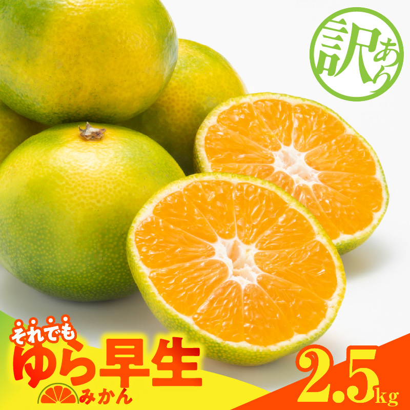 MK1069_【2026先行予約】訳あり ゆら早生 みかん 箱込 2.5kg ( 内容量 2.3kg ) サイズミックス 有田みかん 和歌山県産